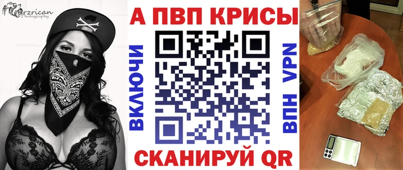 закладка  Светогорск  A PVP СК 