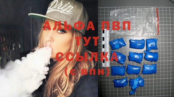 сатива Волоколамск