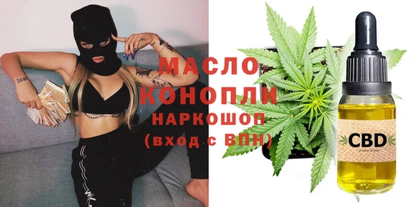 сатива Волоколамск